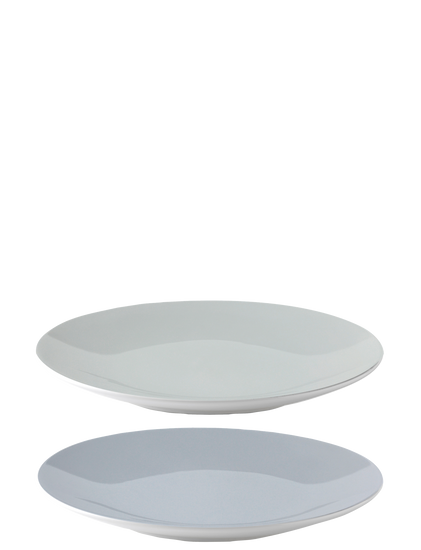 X 219