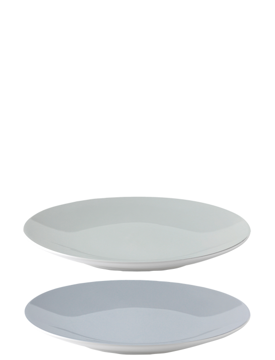 X 219